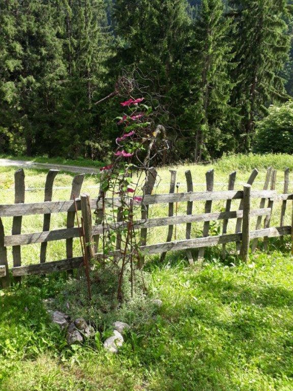 Berghaus Schafer Hotel Faschina Eksteriør billede