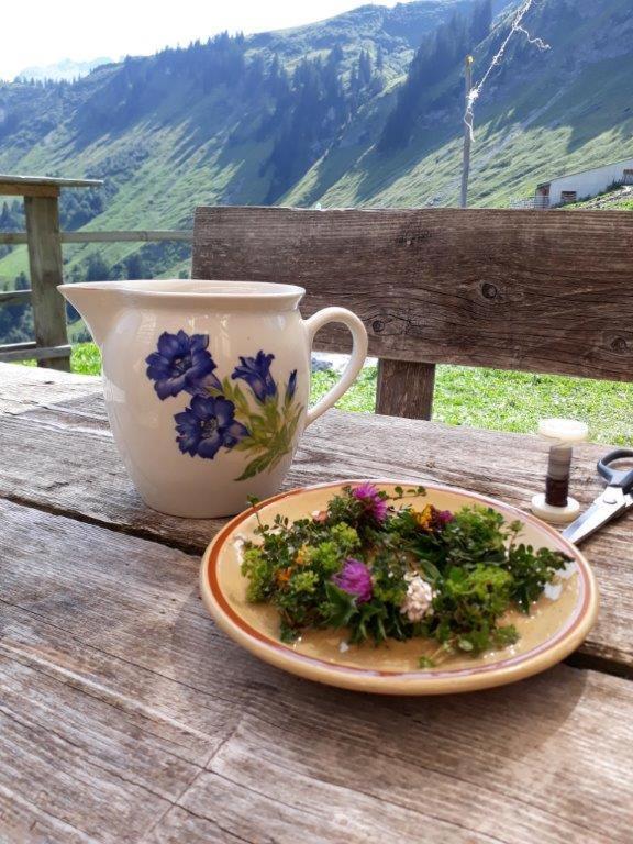 Berghaus Schafer Hotel Faschina Eksteriør billede